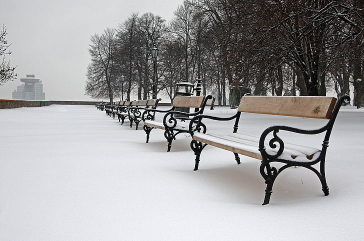 lavicky, ziemas, sniega, Bratislava