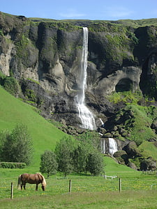 Cascade, con ngựa, Iceland