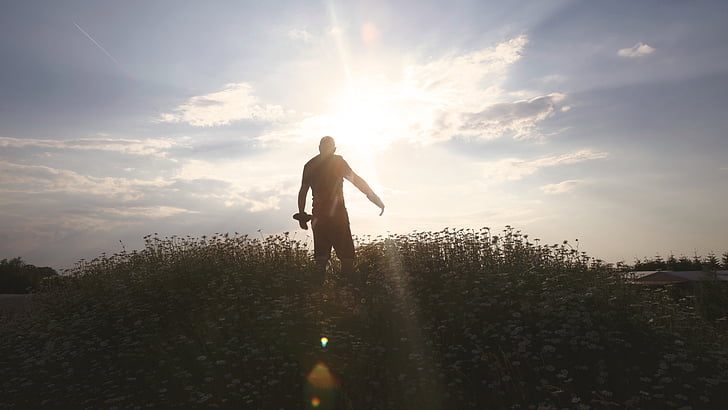 people, man, alone, silhouette, shadow, field, plant