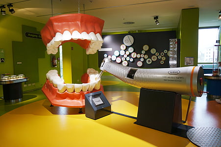 Salisburgo, Casa della natura, denti, dentista, trapano, Zahntechnik, dente