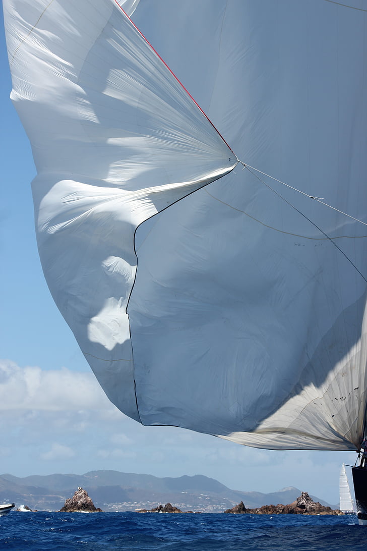 sailing, sea, sailboat, ocean, wind, browse