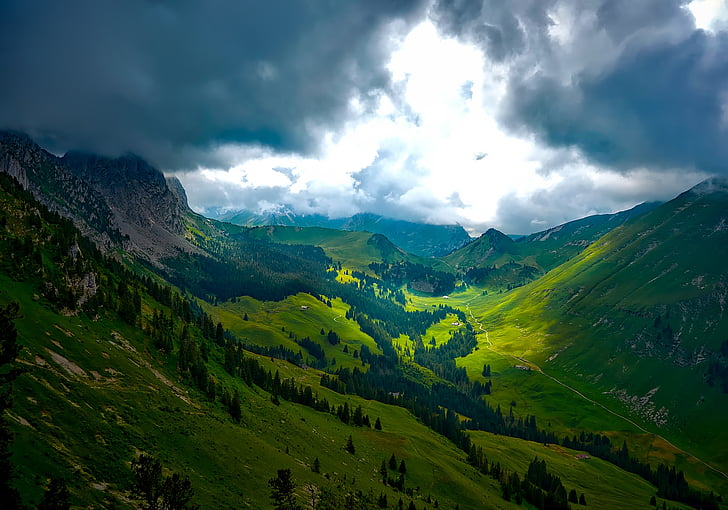 Šveicarija, kalnai, kraštovaizdžio, dauba, tarpeklis, slėnis, miško