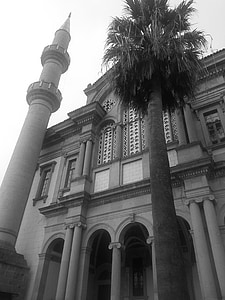 Cami, Bolu, árbol, arquitectura, Minarete de, Mezquita de, exterior del edificio