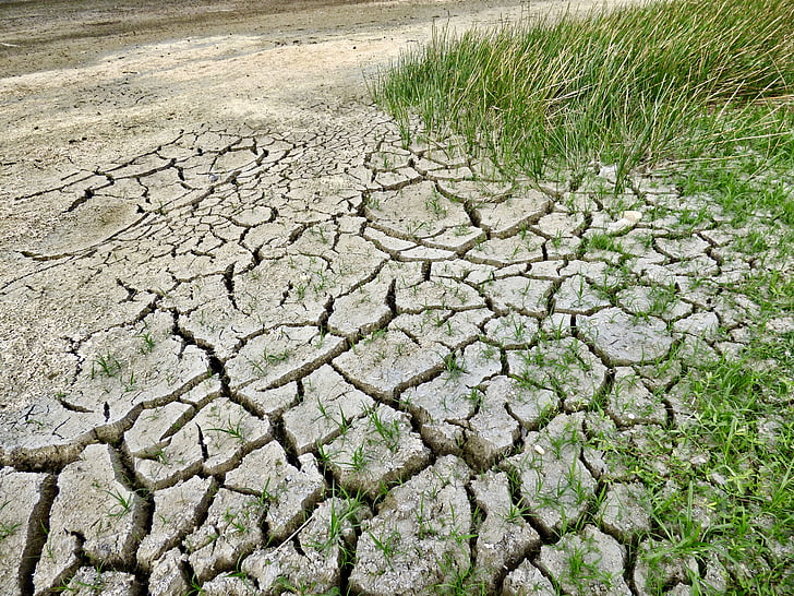 climate change, drought, climate, dry, environment, nature, warming