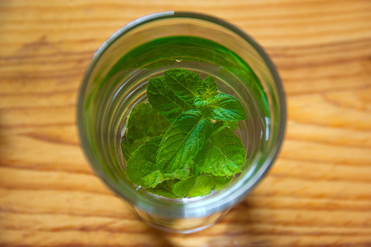 mint, green, leaf, glass, lemon, liquid, medicine