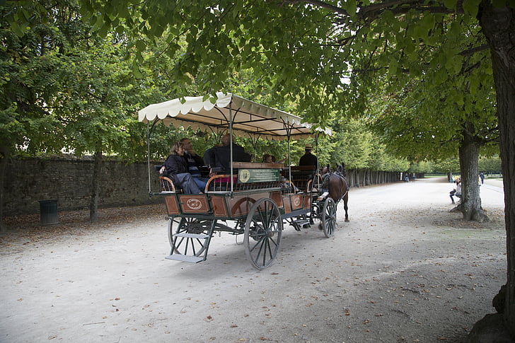 fontainebleau, carriage, ride, horses, path, tree, nature