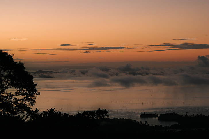 solnedgång, djungel, dimma, Surinam