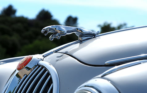auto, autode kollektsioon, Jaguar, kinni panna, transport, maismaa, transpordiliik