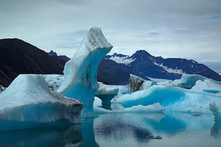 gletser, pemandangan, laut, es, salju, air, beruang glacier