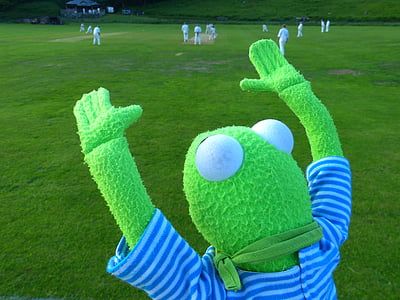 Kermit, alegria, fan, Esperem, granota, criquet, esports d'equip