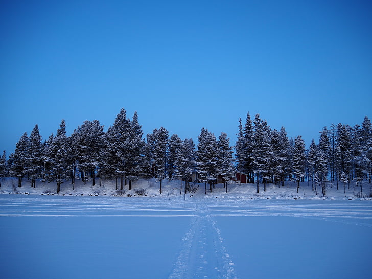 iarna, gheata, zăpadă, Kiruna, albastru, luminoase, sezon