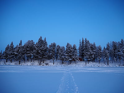 ziemas, ledus, sniega, Kiruna, zila, gaiša, sezonas