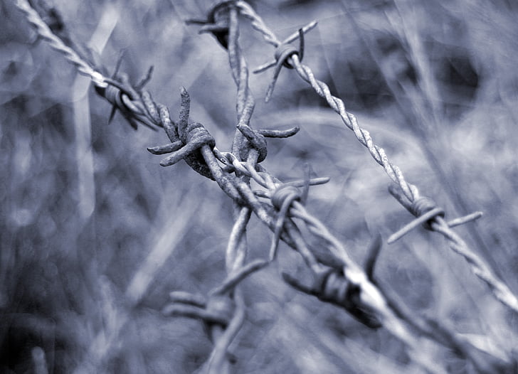 barbed wire, close, wiring, limit, demarcation, fence, pointed