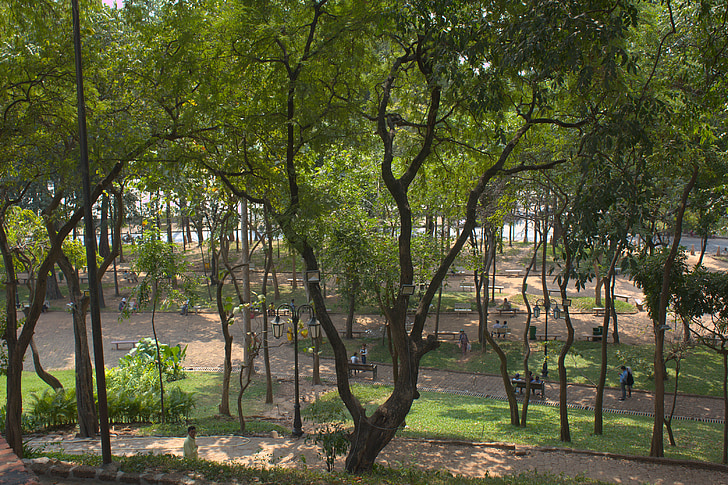 Park, krajobraz, zielony, drzewa, na zewnątrz, ogród, Urban