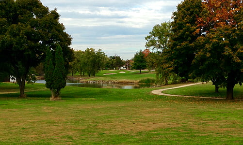 Golf, Wisconsin, na podzim, strom, pole, Příroda, Krása v přírodě