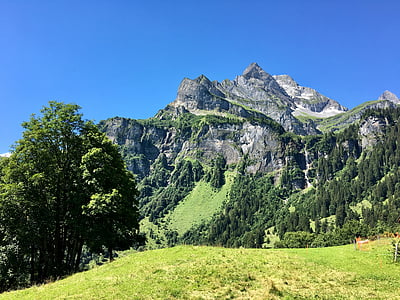 Gunung, pemandangan, Glarus, musim panas, alam, suasana hati, Alpine