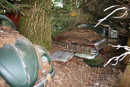 auto, car cemetery, old, rusted, vw beetle, oldtimer