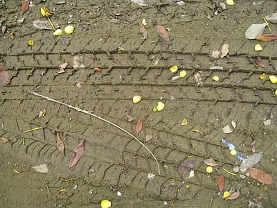 piste del pneumatico, tracce, marchi, fango, bagnato, terra, sporco