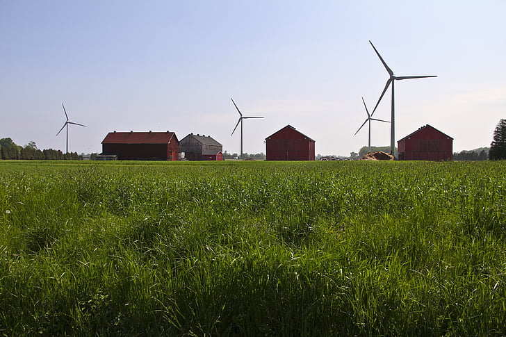 grass, windmills, landscape, wind, sky, power, energy