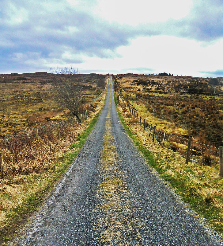Embora, Lane, caminhadas, modo de vida, Irlanda, estrada, cena rural