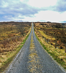 離れて, レーン, ハイキング, 生活の方法, アイルランド, 道路, 田園風景