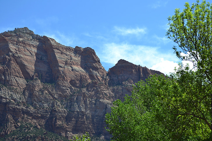 Zion, Národní, parku, Spojené státy americké, Utah, strom, kaňony
