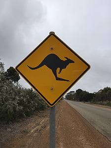 Austrálie, klokan, cesta, signál, žlutá, podepsat, varovný signál