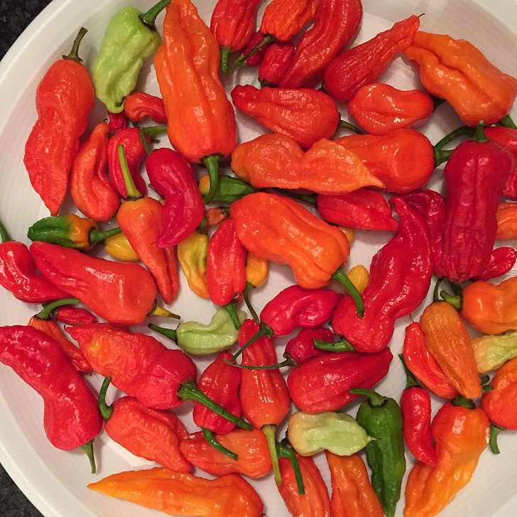 Chili, Bhut jolokia, gorąco, Ghost chili