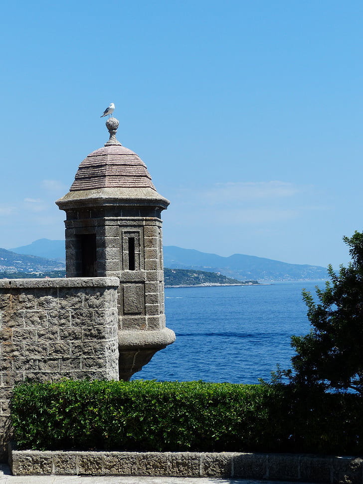 Torreta, piedra, Seagull, sentarse, Spire, Mónaco, Fort antoine