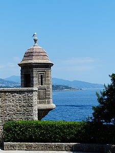 bokštelis, akmuo, žuvėdra, sėdėti, Spire, Monakas, Fort antoine