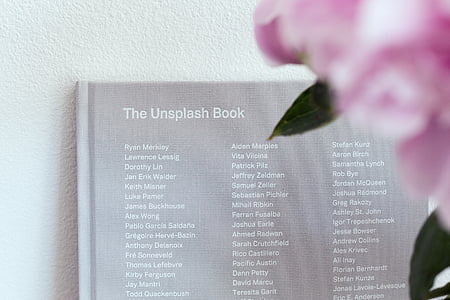 unsplash, Книга, поблизу, рожевий, квітка, Пелюстка, розмиття