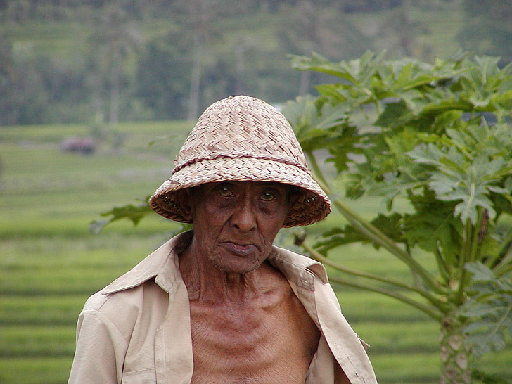 Bauer, skurdo, vyras, žaliavinių ryžių, Azija