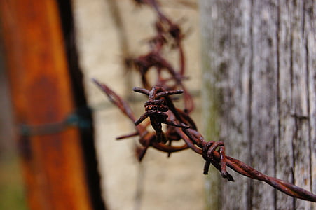barbed wire, verrostst, fence, metal, old