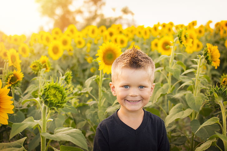 child, sun, sunflowers, field, happy, kid, childhood