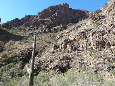 muntanyes, Arizona, vista a la muntanya, natura, desert de, cactus, escèniques