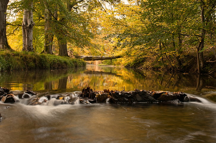 river, cutler water, water, autumn, tree bridge, bridge, crossing