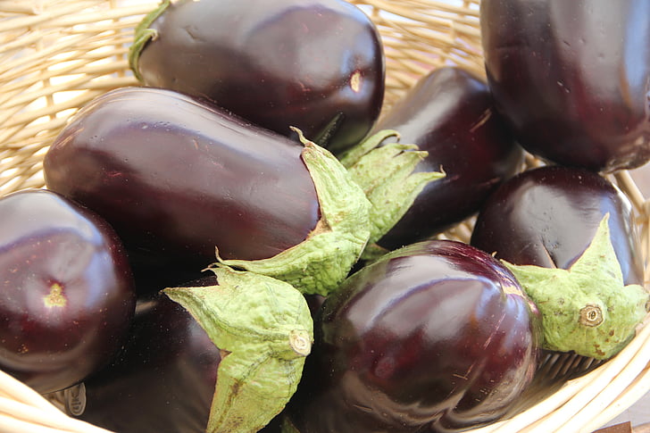 eggplant, vegetable, vegetables, organic food, food, ripe, healthy
