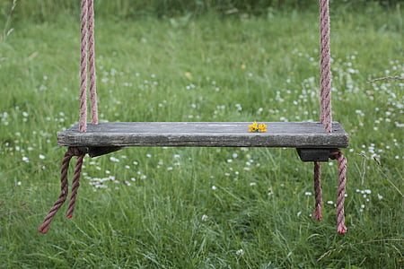 swing, game device, playground, wood - Material, outdoors, grass, nature