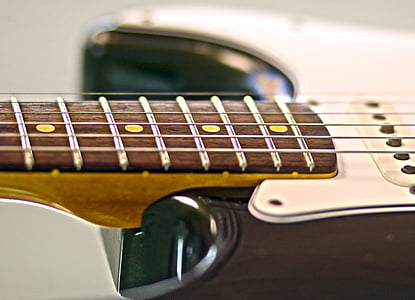 chitarra elettrica, chitarra, parafango, stringhe, macro, sezione, Salazar-bianco