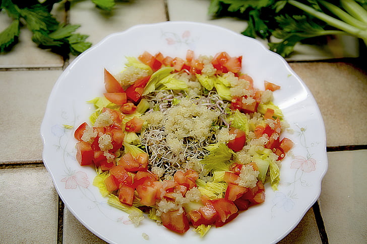 salad, tomato, kinoa, healthy food, power, dietetic, sprout of radish