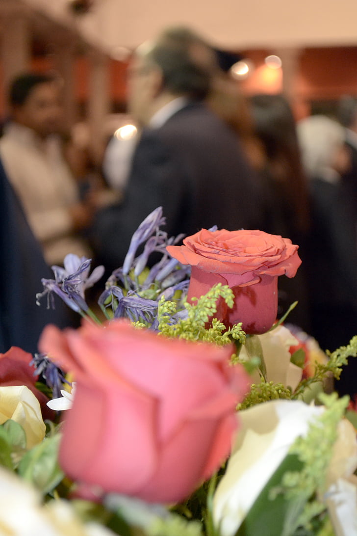 rosa, event, flower arrangement, flowers, flower, nature, ceremony