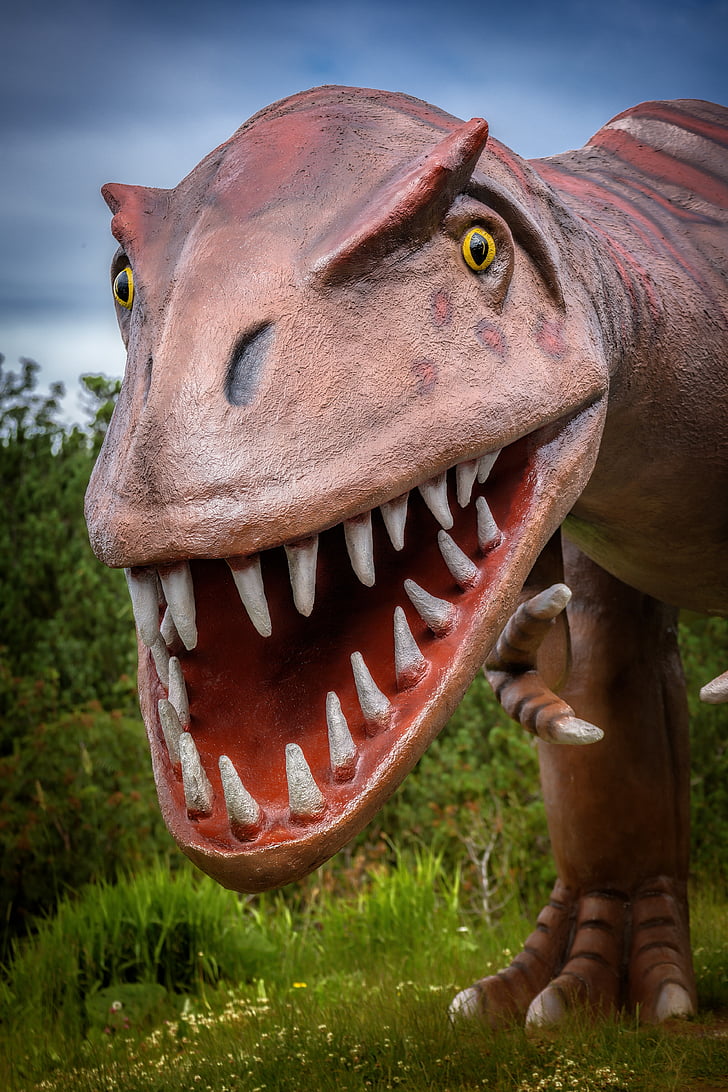 dino, dinosaur, prehistoric times, t rex, reptile, carnivores, jurassic park