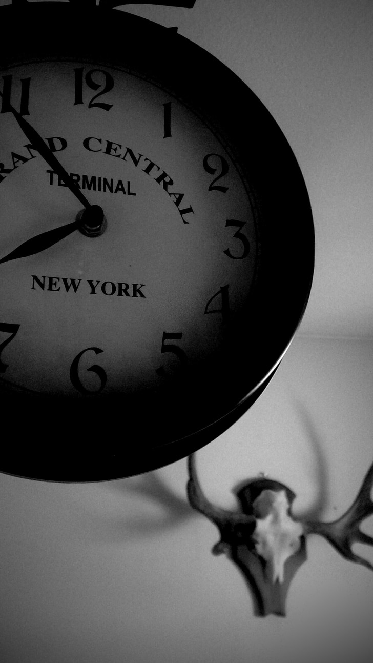 black and white, clock, skull, moose, hart, shadow, numbers