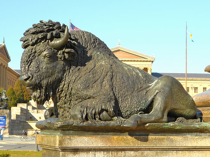 Philadelphia, Pennsylvania, bức tượng, Buffalo, bò rừng bizon, cận cảnh, nghệ thuật