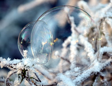 bubble, soap bubble, balls, background, winter, cold, frost