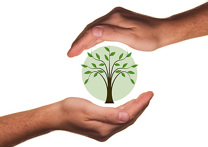 protect, hands, ecology, protection, tree, plant, bio