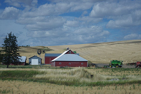 Barn, màu đỏ, lĩnh vực, nông nghiệp, Trang trại, bầu trời, cảnh quan