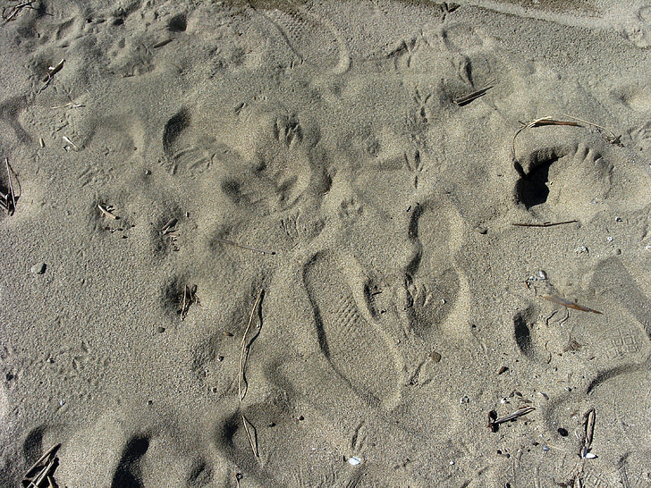 sand, footprint, trace, mark, alone, shore, imprint