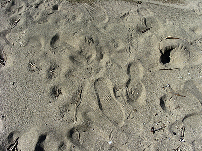 Sand, fotavtryck, spår, Markera, ensam, Shore, Imprint