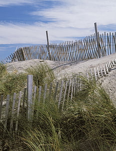 beach scene, dunes, fence, grass, summer, sand, nature